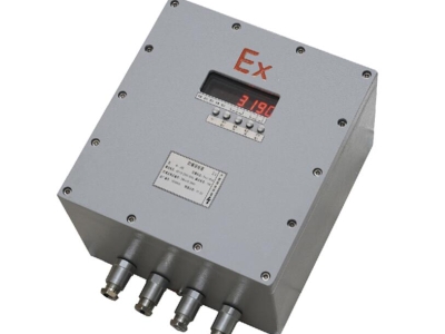 ?XK3190-C8G工業(yè)級(jí)防爆秤稱重儀表 防爆控制儀表