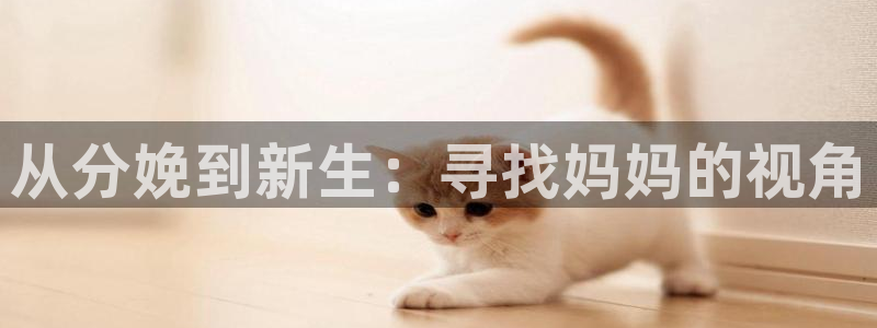 現在就出發金牌影院：從分娩到新生：尋找媽媽的視角