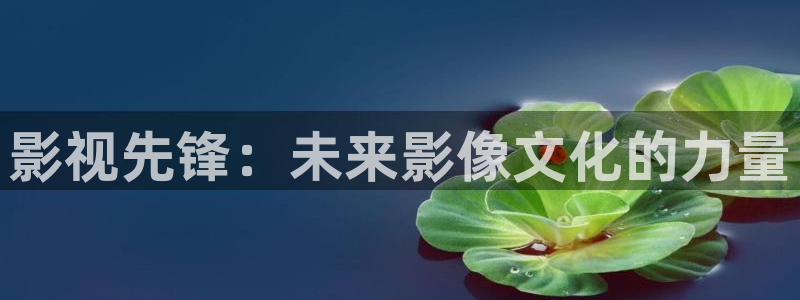 金牌銷售電影免費觀看全集高清：影視先鋒：未來影像文化的力量