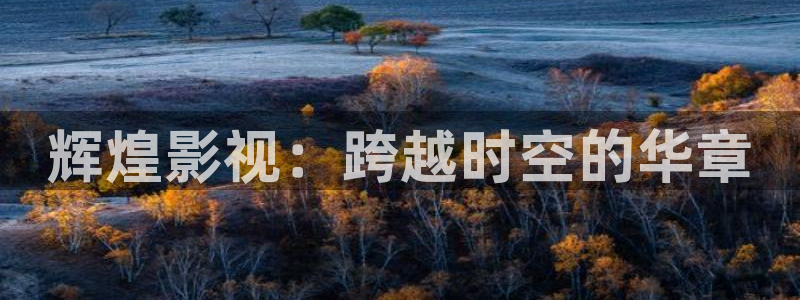 金牌影視劇免費入口