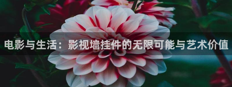 金牌影院免費觀看電視劇在線觀看：電影與生活：影視墻掛件的無限可能與藝術價值
