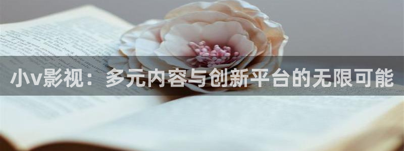 金牌影城
